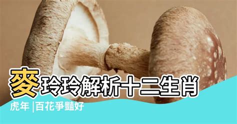 7是什麼意思